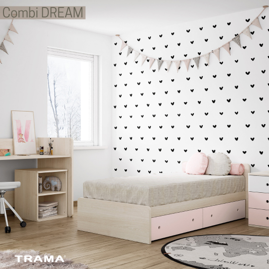 CombiDream Trama