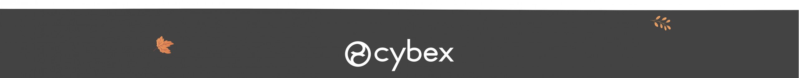 CYBEX PROMOÇÕES E OFERTAS | BLACK FRIDAY
