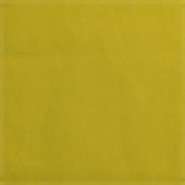 Mustard Yellow
