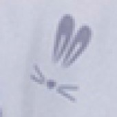 Bunny Chicco