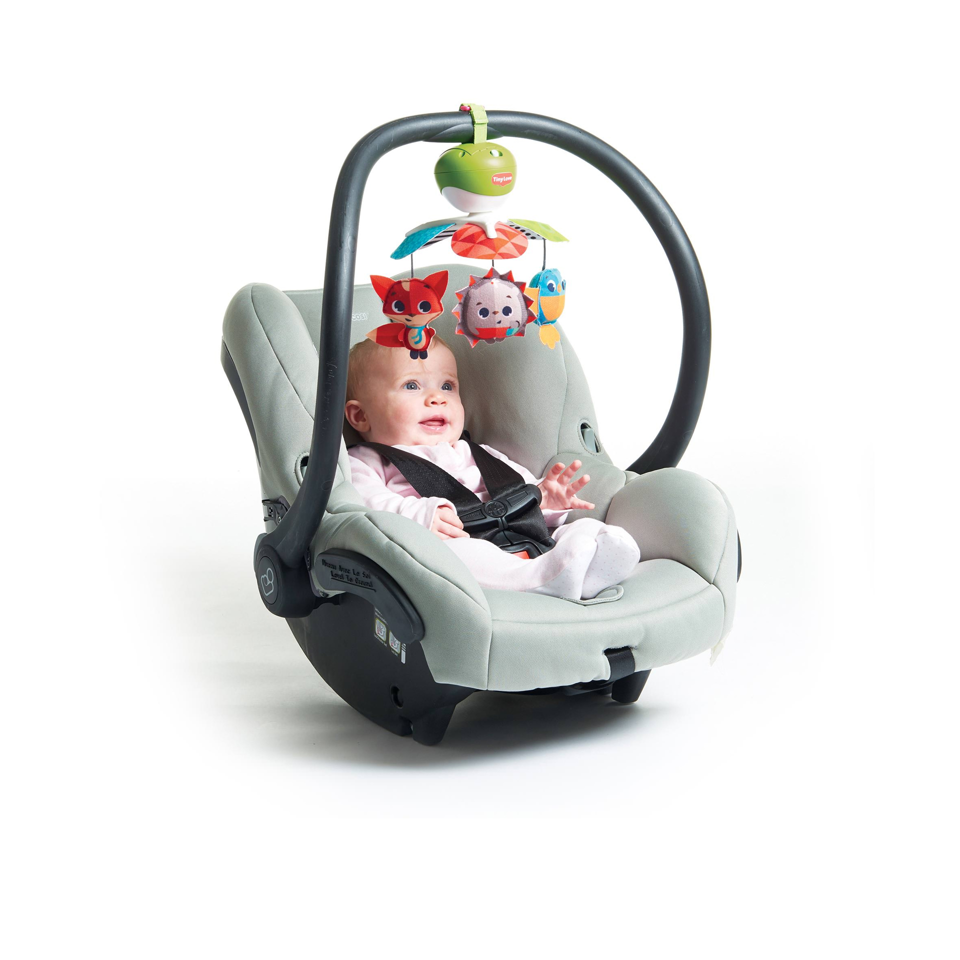 MOBILE TAKE-ALONG MEADOW DAYS