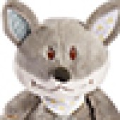Foxy