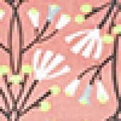 Blissful Brisbone