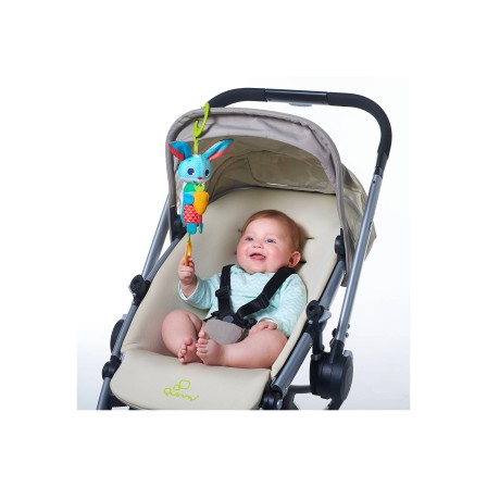 SINO DE VENTO THOMAS O COELHO