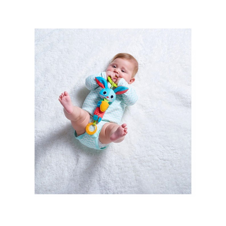 SINO DE VENTO THOMAS O COELHO