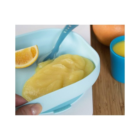 PRATO SILICONE COM VENTOSA