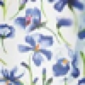 Floral Iris