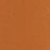 Matte Burnt Orange Matte Burnt Orange