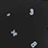 Numbers