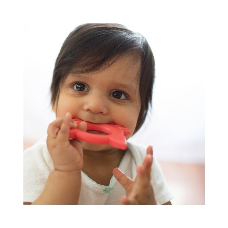 MORDEDOR FLEXEES FRIENDS RAPOSA