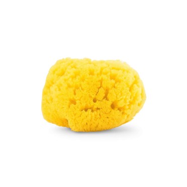 ESPONJA MARINHA M�DIA