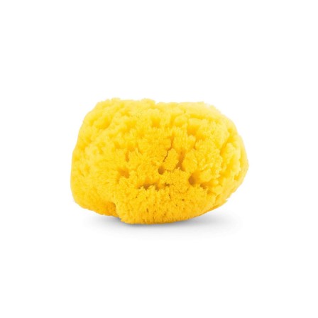 ESPONJA MARINHA M�DIA - Image product