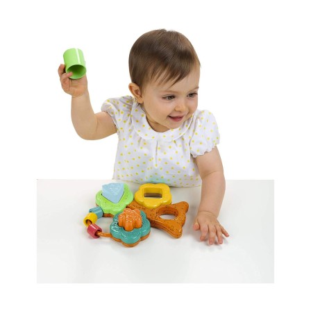 CLASSIFICADOR DE FORMAS ÁRVORE BAOBAB ECO+