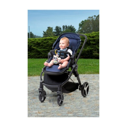 CLOUDY, O GUAXINIM MUSICAL