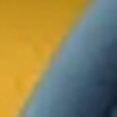 Mustard Petrol
