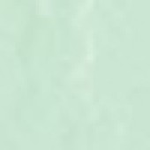 Menta Branco