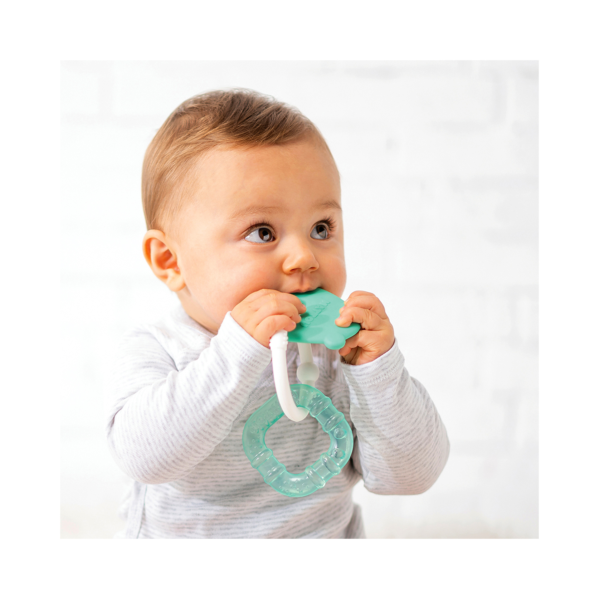 ANEL DE DENTIÇÃO URSO