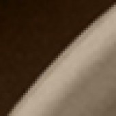 Mocha Dark Oak