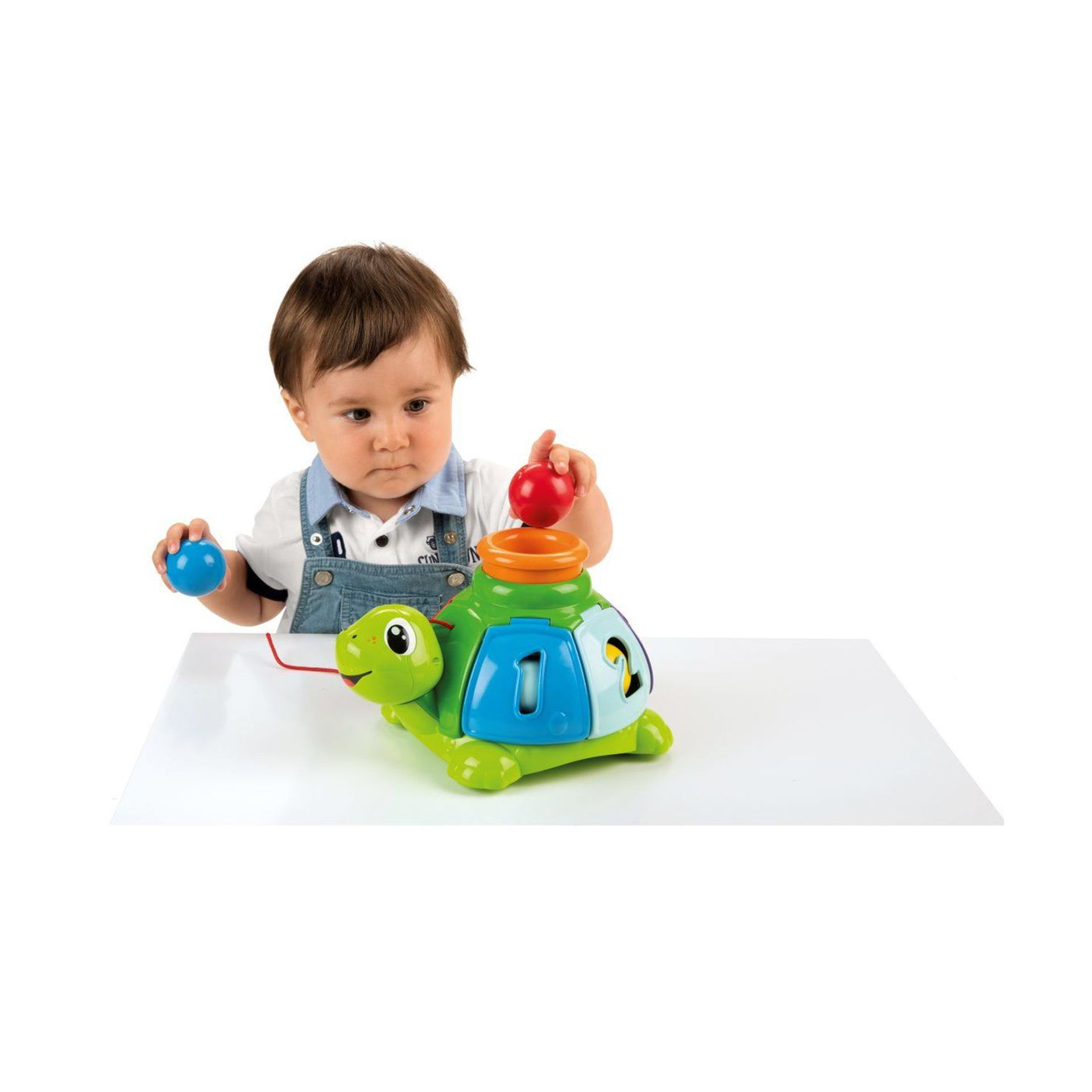 TARTARUGA EFEITO SURPRESA