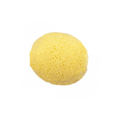 ESPONJA HIDROFLICA