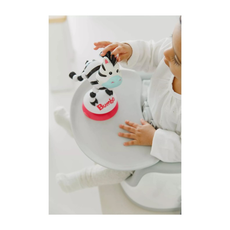 BRINQUEDO COM VENTOSA ZOEY