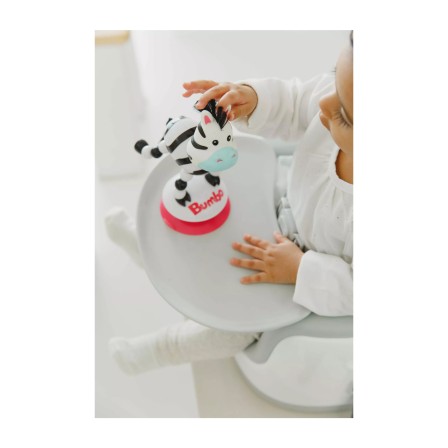 BRINQUEDO COM VENTOSA ZOEY