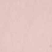 Pearl Pink