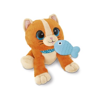 GATINHO CU CU