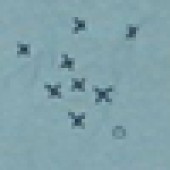 Hugs and Kisses Hugs and Kisses