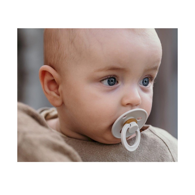 CHUPETAS BIBS COLOURS HAZE/BLOSSOM