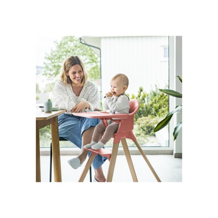 CADEIRA DE PAPA CLIKK