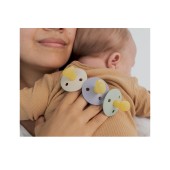 CHUPETAS BIBS COLOURS ANATMICAS SAND / IRON