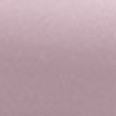 Dusky Lilac