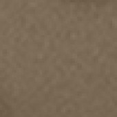 Dark Oak
