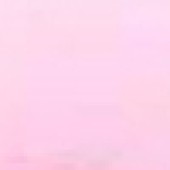 Light Violet Light Violet