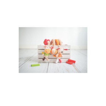 ESPIRAL DE ATIVIDADES DOG