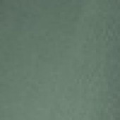 Leaf Green