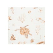 MUSSELINA OCEAN