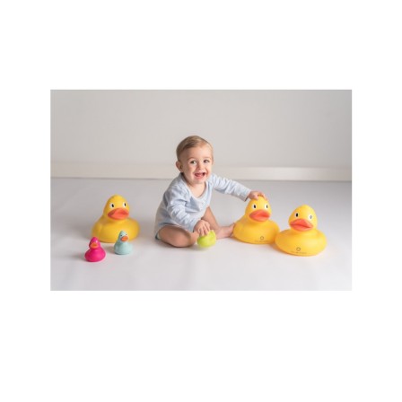 PATO GRANDE PARA BANHO