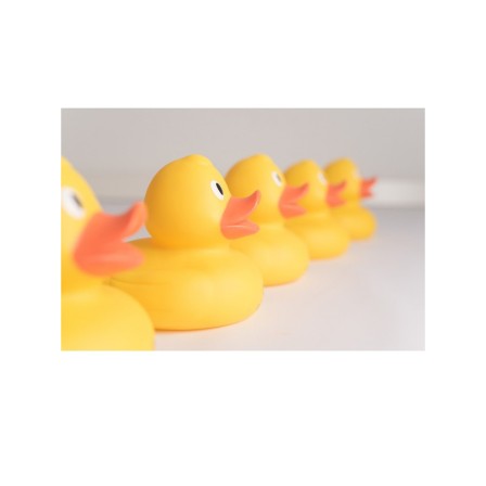 PATO GRANDE PARA BANHO