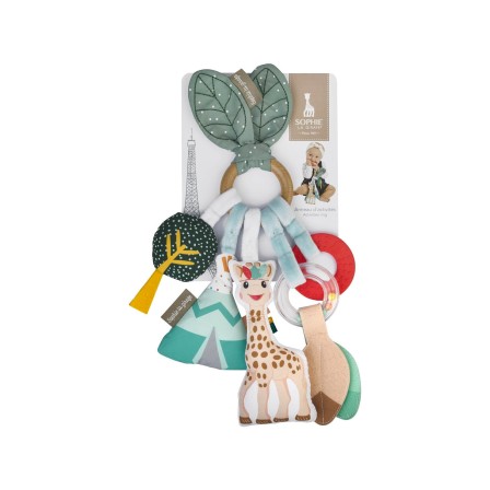 ANEL DE ATIVIDADES SOPHIE LA GIRAFE