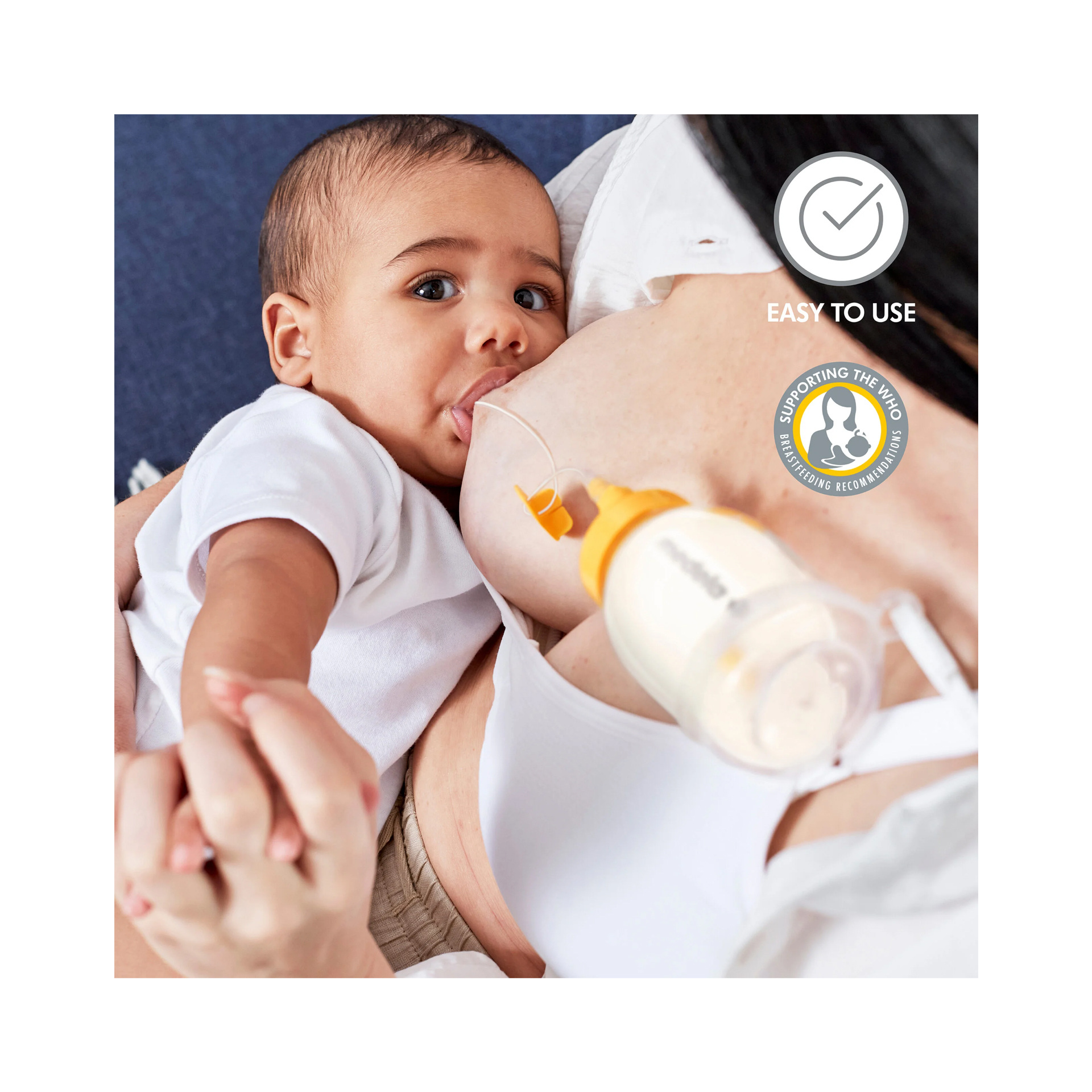 SISTEMA DE NUTRIÇÃO SUPLEMENTAR