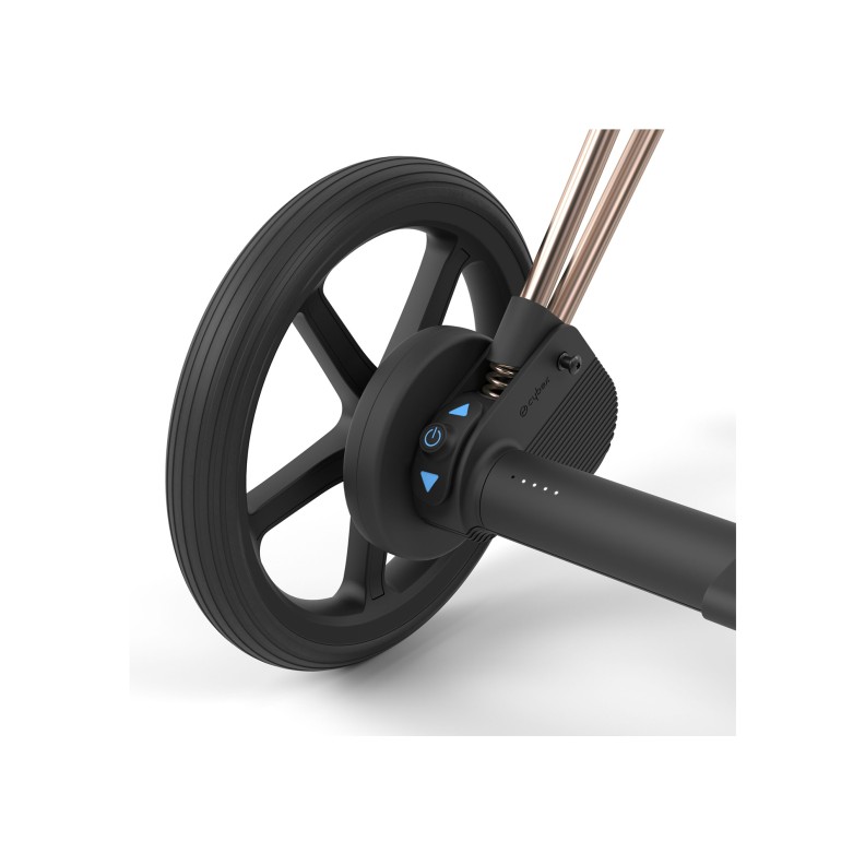 e-PRIAM ROSEGOLD 2