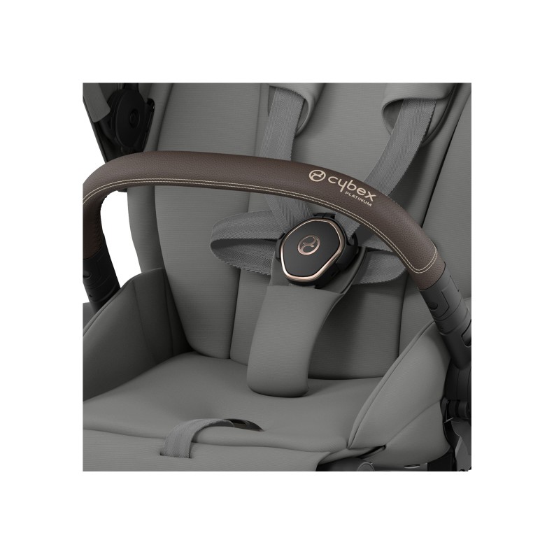 e-PRIAM ROSEGOLD 2