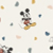 Mickey Celebration