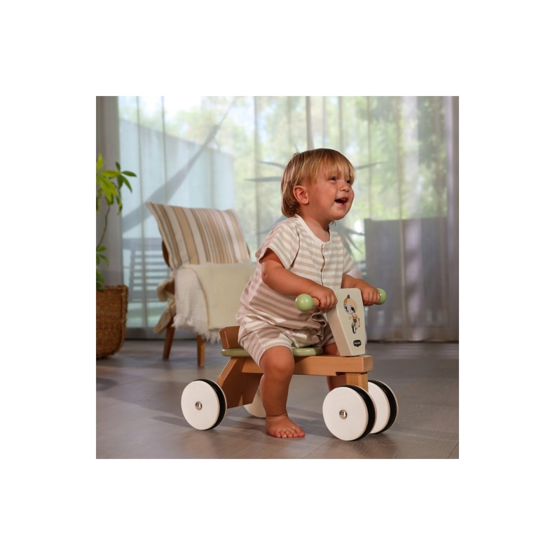 TRICICLO SEM PEDAIS BOHO CHIC