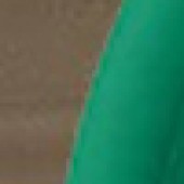 Dark Oak Evergreen