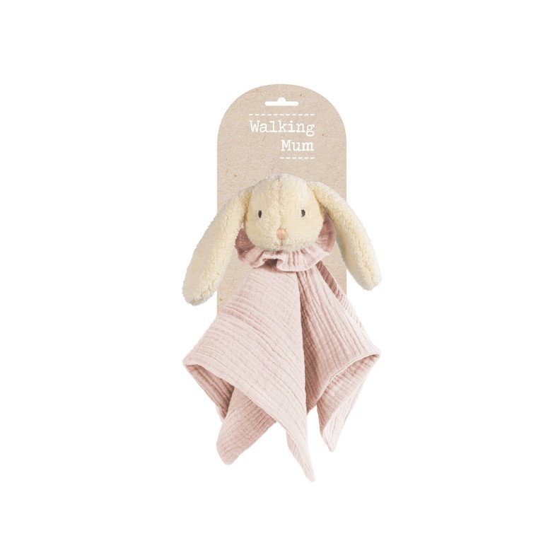 DOUDOU COELHO DE PELUCHE