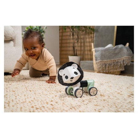 GEORGE O LEÃO BRINQUEDOS COM RODAS