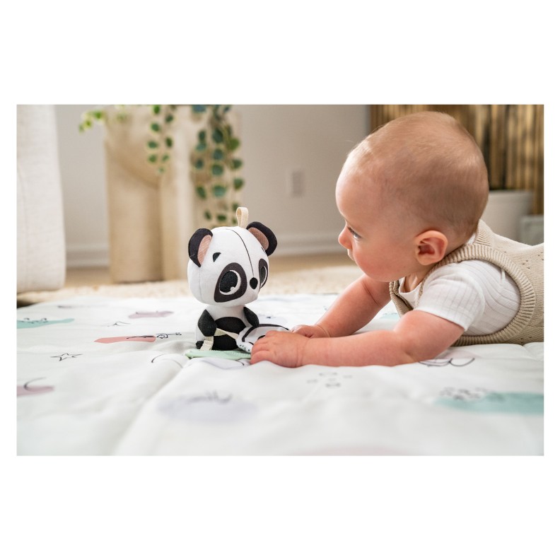 CHOCALHO BLACK & WHITE DECOR